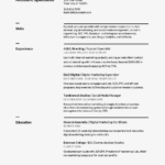 Resume Templates Compatible With Google Docs