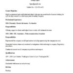 Resume Templates Copy And Paste