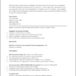 Resume Templates Copy And Paste