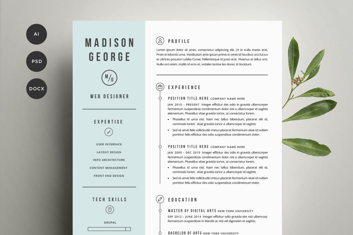 Resume Templates Creative