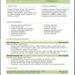 Resume Templates Download