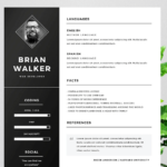 Resume Templates Word Free