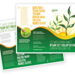 Brochure Templates Environment