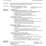 Resume Templates 2020