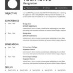 Resume Templates Free