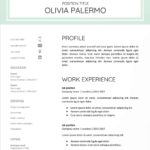 Resume Templates Google Docs