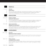 Resume Templates Word