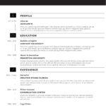 Resume Templates Word