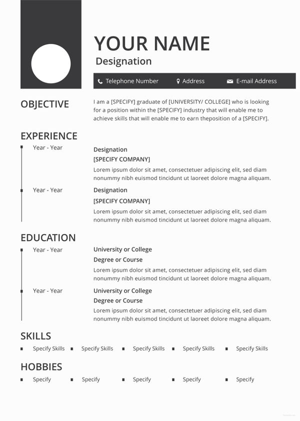 Blank Resume Templates for Microsoft Word