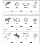 Blank Food Web Template