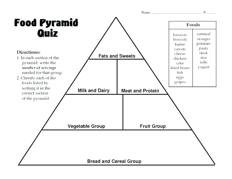 Blank Food Web Template