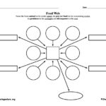 Blank Food Web Template
