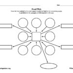 Blank Food Web Template