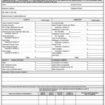 Blank Personal Financial Statement Template