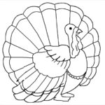 Blank Turkey Template