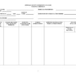 Nursing Care Plan Templates Blank