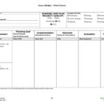 Nursing Care Plan Templates Blank