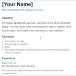 Resume Templates Basic