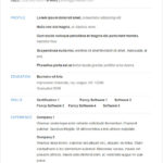 Resume Templates Basic