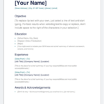 Resume Templates Best