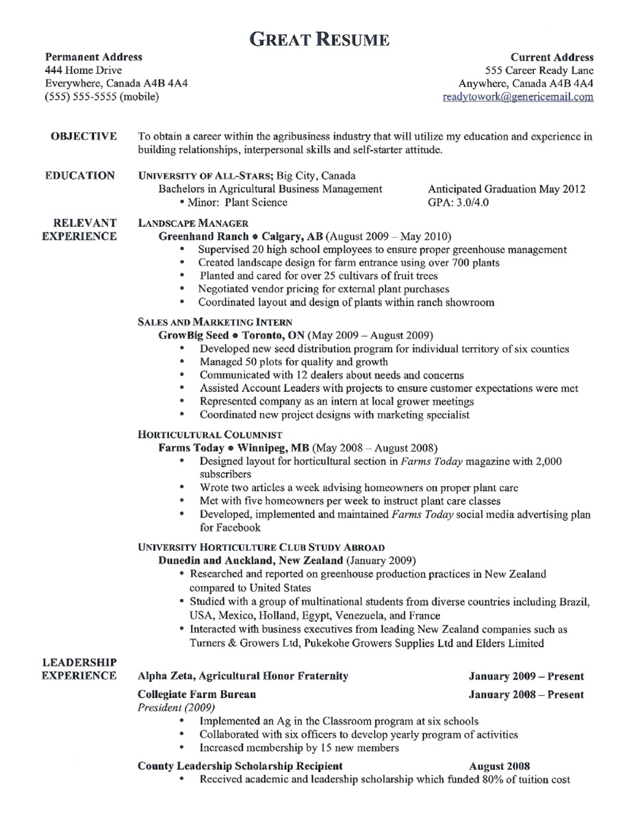 Resume Templates Best 2020