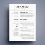 Resume Templates Best