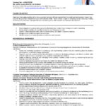 Resume Templates Business