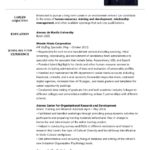 Resume Templates Business