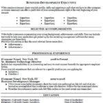 Resume Templates Business