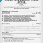 Resume Templates Business