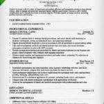 Resume Templates Dental Assistant