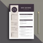 Resume Templates Design