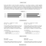 Resume Templates Docx