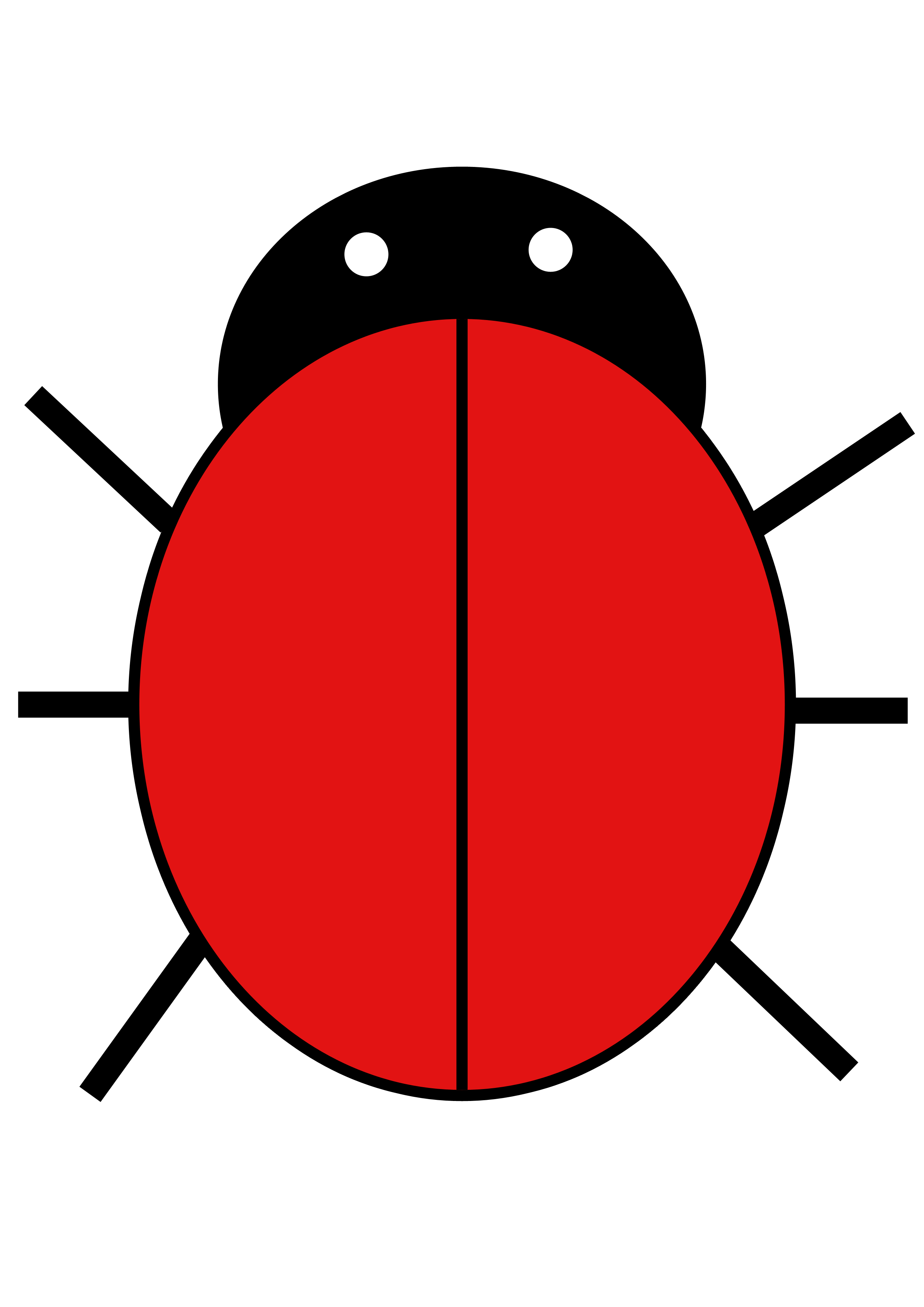Blank Ladybug Template TEMPLATES EXAMPLE
