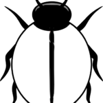 Blank Ladybug Template