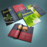 Brochure Book Templates