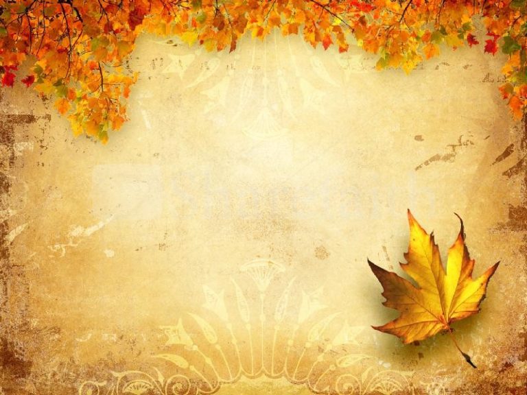 Powerpoint Templates Autumn (5) TEMPLATES EXAMPLE TEMPLATES EXAMPLE Powerpoint Templates Autumn (5) TEMPLATES EXAMPLE TEMPLATES EXAMPLE