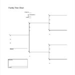 Blank Tree Diagram Template