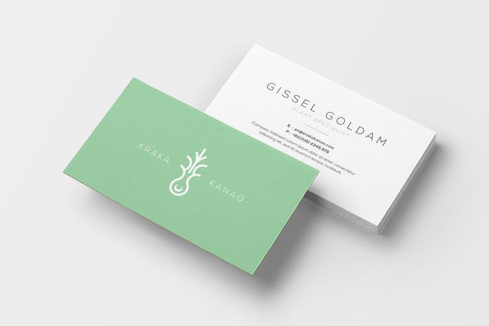 Business Card Templates Envato