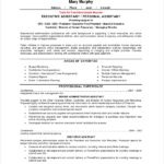 C Level Resume Samples