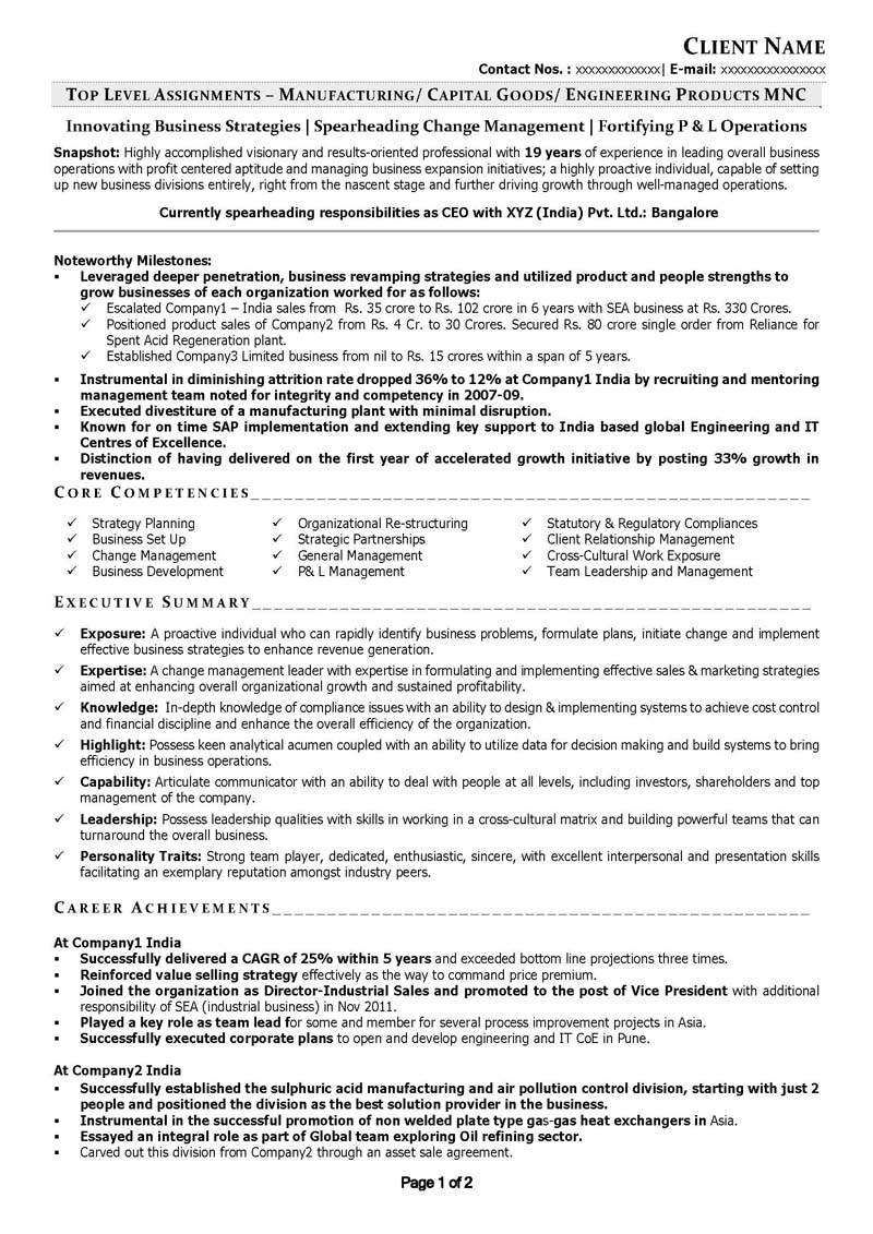 C Level Resume Samples