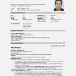 How to Construct a Cv Templates