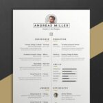 Resume Templates Envato