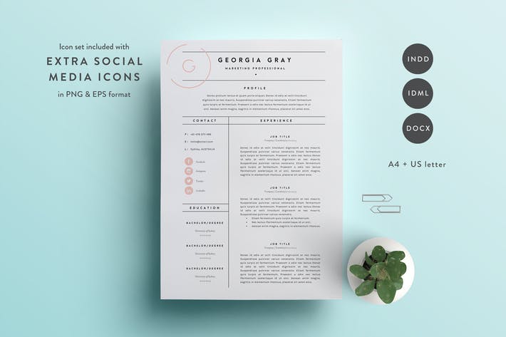 Resume Templates Envato