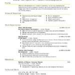 Resume Templates Excel