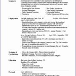 Resume Templates Excel