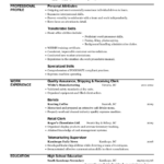 Resume Templates Excel