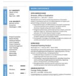 Resume Templates Executive