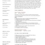 Resume Templates Executive