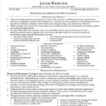 Resume Templates Executive